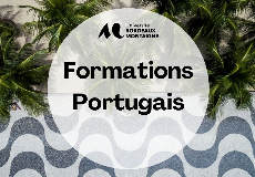 Formations Portugais